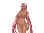  1girl breasts ingrid_(taimanin_asagi) kagami_hirotaka large_breasts lilith-soft taimanin_asagi 