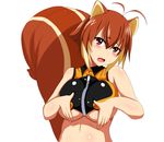  :d animal_ears antenna_hair bad_id bad_pixiv_id bare_shoulders blazblue blush breasts brown_hair crop_top large_breasts looking_at_viewer makoto_nanaya marupuni multicolored_hair no_gloves open_mouth red_eyes short_hair smile solo squirrel_ears squirrel_tail tail two-tone_hair underboob upper_body white_background 