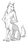  2005 5_fingers arm_tuft black_nose butt_tuft canine canine_taur chest_tuft claws coyote coyote_taur fluffy fluffy_tail full_body hands_on_waist j-c looking_at_viewer mammal monochrome nipples nude signature simple_background sitting smile solo taur tuft white_background 