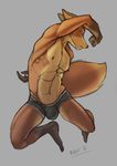  anthro briefs bulge canine clothing fox male mammal navel nipples simple_background sketch solo underwear woadedfox 