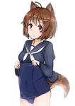  ahoge animal_ears brave_witches breasts brown_eyes brown_hair covered_navel cowboy_shot dog_ears dog_tail hair_ornament hairclip karibuchi_hikari kouzou_myouji lifted_by_self long_sleeves one-piece_swimsuit sailor_collar sailor_shirt school_swimsuit shirt shirt_lift short_hair simple_background small_breasts solo swimsuit swimsuit_under_clothes tail white_background world_witches_series 