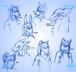  canine caprine cora_valion feline fish fox frostwyrm102 hair lagomorph lion male mammal marine rabbit sergal shark tiger traditional_media_(artwork) wolf 