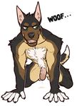  2016 5_fingers all_fours aluminemsiren anthro black_fur black_nose black_tail brown_fur canine claude_(clefwolf) digital_drawing_(artwork) digital_media_(artwork) dipstick_tail doberman dog dripping erection fingerless_(marking) front_view fur german_shepherd green_eyes humanoid_penis inner_ear_fluff male mammal multicolored_tail nude open_mouth penis pink_penis pointy_ears precum simple_background solo tan_fur tan_tail teeth white_background white_fur white_tail 