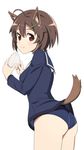  ahoge animal_ears blush brave_witches brown_eyes brown_hair commentary_request dog_ears dog_tail food from_behind hair_ornament hairclip karibuchi_hikari long_sleeves looking_back nanashino one-piece_swimsuit onigiri rice sailor_collar school_swimsuit short_hair smile solo standing swimsuit swimsuit_under_clothes tail world_witches_series 