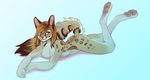  4_toes 5_fingers anthro blue_eyes breasts brown_hair cat feline female fur hair lying mammal nude pawpads pink_nose redcreator simple_background smile tan_fur toes white_background 