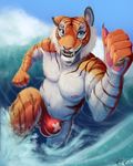  2016 5_fingers anthro black_fur black_stripes blue_eyes blue_sky bulge claws clothed clothing cloud day detailed_background digital_media_(artwork) ethelas fangs feline front_view fur hi_res inner_ear_fluff looking_at_viewer male mammal multicolored_fur navel nipples open_mouth orange_fur outside pink_nipples pink_nose sea signature sky smile solo speedo striped_fur stripes surfing swimsuit teeth thumbs_up tiger topless water wave whiskers white_fur 