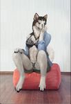  anthro bra canine clothing cosmiclife dog female fuzzy husky invalid_tag looking_at_viewer mammal one_eye_closed pinup pose simple_background sitting solo underwear wink 
