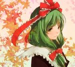  74_(teduka) bow dress face front_ponytail green_eyes green_hair hair_bow hair_ribbon kagiyama_hina leaf leaf_background light_smile maple_leaf ribbon solo touhou 