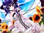  animal_ears bell blue_hair cat_ears dress flower green_eyes nekomimi ribbon sun_flower sunflower 