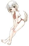  animal_ears barefoot bikini blush copyright_request crossed_legs dog_ears feet full_body inuburo lowres short_hair silver_hair simple_background solo swimsuit tail white_background yellow_eyes 