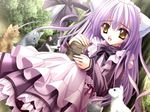  1girl amber_eyes animal_ears bow cafe_little_wish cat cat_ears dress game_cg hcg long_hair maid nekomimi purple_hair ribbon solo tinker_bell tinkerbell uniform yellow_eyes 