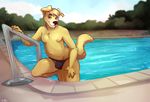  2016 anthro brown_eyes brown_nose bulge canine clothed clothing cloud day detailed_background dog fur golden_retriever hair lawrence_mecklenburg looking_at_viewer male mammal navel nipples outside partially_submerged salkitten sky slightly_chubby smile solo speedo standing swimming_pool swimsuit thick_thighs topless water wet yellow_fur 