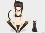  animal animal_ears black_bra black_legwear black_panties blush_stickers bra brown_eyes brown_hair cat cat_ears cat_tail constricted_pupils eyebrows eyebrows_visible_through_hair full_body hands_on_own_feet highres jovejun kemonomimi_mode kneehighs looking_at_another navel open_mouth original panties shadow short_hair_with_long_locks sitting spread_legs tail thick_eyebrows tsubomioka_happa underwear underwear_only yellow_sclera 