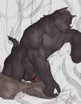  abs anthro balls canine clothed clothing dog erection kneeling male male/male mammal muscular pants_down partially_clothed pecs penis simple_background solo st_ryker tentacles white_background 