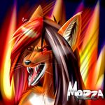 2014 angry anthro canine colored digital_drawing_(artwork) digital_media_(artwork) english_text female fire fox fur furrytiger_2012 hair long_hair mammal mezza red_eyes simple_background solo teeth text 