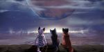  anthro canine cloud feline group kaiotawolf male mammal nude outside rorr sitting 