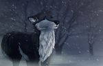  canine feral fur kaiotawolf male mammal outside sad snow solo standing 