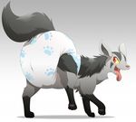  ageplay diaper feral fur grey_fur kurikia mightyena nintendo open_mouth pawpads paws pok&eacute;mon red_eyes simple_background solo standing tongue video_games 