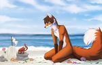  anthro beach canine fox fur hair kaiotawolf kneeling male mammal nude outside seaside solo 