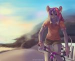  5_fingers anthro bike_(disambiguation) clothed clothing detailed_background female flat_chested fur grey_fur hair koul mammal mouse pink_hair pink_nose purple_hair red_eyes rodent smile solo 