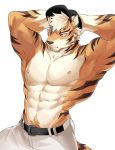  2019 abs anthro biceps chung0_0 clothing felid male mammal muscular muscular_male nipples pantherine pecs simple_background solo tiger white_background 