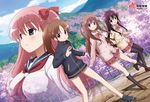  4girls bare_legs blue_eyes bottomless breasts brown_eyes brown_hair female large_breasts long_hair long_sleeves multiple_girls naked_track_jacket nature no_panties no_pants outdoors pink_hair plant red_eyes saki school_uniform skirt sky small_breasts takakamo_shizuno uniform 