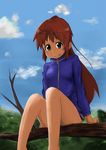  1girl bare_legs bottomless female long_sleeves naked_track_jacket nature no_panties no_pants outdoors plant saki sky solo takakamo_shizuno 