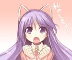  animal_ears cat_ears happiness! hazuki_(tsukuyomi) kashiwamochi_yomogi kemonomimi_mode long_sleeves lowres male_focus nekomimi_mode_(tsukuyomi) otoko_no_ko parody purple_eyes purple_hair solo tsukuyomi_moonphase watarase_jun 