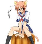  animal_ears blush blushing brown_eyes cat_ears chisame chisame_hasegawa glasses hasegawa_chisame knee_highs kneehighs lowres mahou_sensei_negima mahou_sensei_negima! necktie negima nekomimi panties red_hair redhead school_uniform seifuku serafuku skirt tei tie underwear 