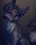  ambiguous_gender black_fur black_nose canine chest_tuft dog fluffy fur grey_background inner_ear_fluff looking_at_viewer lukiri mammal nude purple_eyes simple_background sitting smile solo tuft white_fur 