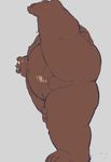  12beat13 anus balls bear beat_you_(artist) big_butt blush butt colored grey_background male mammal nude penis simple_background solo spreading 