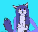  2016 anthro areola ash breasts canine cryoshroud digital_media_(artwork) dog ear_piercing female fox fur hair hi_res invalid_color looking_at_viewer mammal nipples nude piercing simple_background smile solo standing 