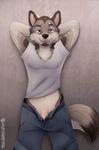  2016 anthro belly canine clothed clothing digital_media_(artwork) dog flaccid fur husky looking_at_viewer male mammal mytigertail nude penis pinup pose showing simple_background smile solo standing undressing wolf 