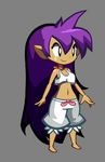  1girl animated animated_gif dark_skin shantae 