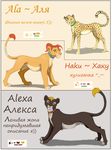  blonde_hair cheetah collar feline feral fur grey_fur hair hindpaw lion mammal model_sheet nude orange_fur orange_hair paws russian_text simple_background smile spots spotted_fur standing text white_background yellow_fur z-lion 