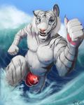  2016 5_fingers action_pose anthro black_fur black_stripes blue_eyes blue_sky bulge claws clothed clothing cloud day detailed_background digital_media_(artwork) ethelas fangs feline front_view fur hi_res inner_ear_fluff looking_at_viewer male mammal multicolored_fur navel nipples open_mouth outside pink_nipples pink_nose sea signature sky smile solo speedo striped_fur stripes surfing swimsuit teeth thumbs_up tiger topless water wave whiskers white_fur white_tiger 