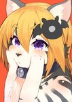  blush canine chest_tuft collar female fur grey_fur hair hands_on_face kawakami_masaki kemono mammal open_mouth orange_background orange_hair purple_eyes simple_background solo striped_fur stripes tuft 