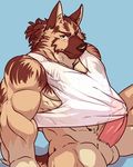  anthro balls blush bottomless canine clothed clothing erection erection_under_clothes humanoid_penis istani looking_at_viewer male mammal muscular muscular_male pecs penis retracted_foreskin scalie shirt sitting solo tank_top uncut wet_shirt wolf 