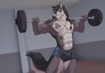  2016 anthro blue_eyes brown_fur canine clothed clothing exercise fur jewelry looking_at_viewer male mammal muscular necklace shorts solo tattoo topless wolf wolfy-nail 