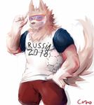  anthro arctic_wolf arm_markings blue_eyes canine clothed clothing ears_up eyewear fifa fifa_2018 fifa_russia_2018 football_(disambiguation) fur goggles male mammal markings mascot one_eye_closed russia russian shirt shorts simple_background soccer solo specs sport t-shirt tan_fur white_markings wink wolf world_cup zabivaka 
