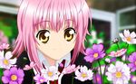  close shugo_chara tagme 