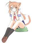  animal_ears blush brown_hair cat_ears cat_tail chisame chisame_hasegawa glasses hasegawa_chisame knee_highs kneehighs long_hair mahou_sensei_negima mahou_sensei_negima! necktie nekomimi pony_tail ponytail red_hair redhead school_uniform seifuku serafuku swimsuit tail tie uniform 