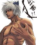  abs animal_ears chest dark_skin dark_skinned_male grey_hair looking_at_viewer lyrical_nanoha mahou_shoujo_lyrical_nanoha mahou_shoujo_lyrical_nanoha_a's male_focus muscle nakayama_yukiji parted_lips sharp_teeth shirtless simple_background solo teeth translation_request upper_body white_background wolf_ears zafira 