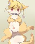  &lt;3 anus balls blush canine censored collar cub cute faeki fox fur hindpaw looking_at_penis looking_down male mammal nude paws penis perineum precum red_eyes semi-anthro simple_background solo spread_legs spreading tapering_penis white_fur yellow_fur young 