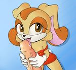  anthro clothed clothing cream_the_rabbit fellatio female human lagomorph looking_at_viewer male mammal mdgusty oral penis rabbit sex solo_focus sonic_(series) tongue tongue_out young 