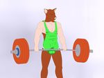  9x9 anthro ballbusting bulge clothing cock_and_ball_torture exercise male mammal pain pig porcine shirt simple_background solo tank_top weightlifting workout 