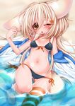  animal_ears big_eyes bikini blonde_hair blush felt_(inuue_kiyu) fox_ears fox_tail hair_ornament inuue_kiyu large_ears long_hair navel one_eye_closed original smile solo swimsuit tail tongue yellow_eyes 