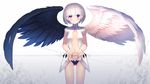  angel_wings ass_visible_through_thighs asymmetrical_wings bad_id bad_pixiv_id black_panties black_vs_white black_wings blush breasts center_opening closed_mouth cowboy_shot feathered_wings heterochromia highres kumashou_(nabeyama_kaidou) lavender_eyes looking_at_viewer navel original panties purple_eyes revealing_clothes short_hair short_sleeves silver_hair small_breasts smile solo stomach underwear white_wings wings 