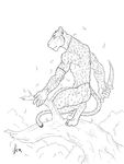  2014 5_fingers abs anthro aurancreations dagger digitigrade ear_piercing feline fur holding_object holding_weapon line_art male mammal melee_weapon panther piercing simple_background sitting solo spots spotted_fur tree tribal weapon white_background 