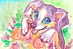  4_toes blue_eyes canine cheek_tuft detailed_background dog ear_tuft ears_down feral flower fur grass grey_fur leaves mammal plant sky smile solo three_toned_fur toes tongue tongue_out traditional_media_(artwork) tuft watercolor_(artwork) white_fur yellow_fur zenirix 